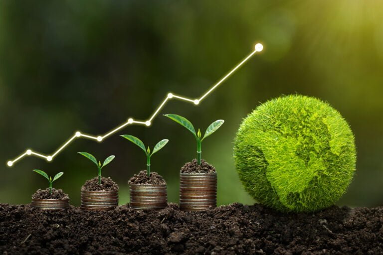 Sustainable Investing Returns