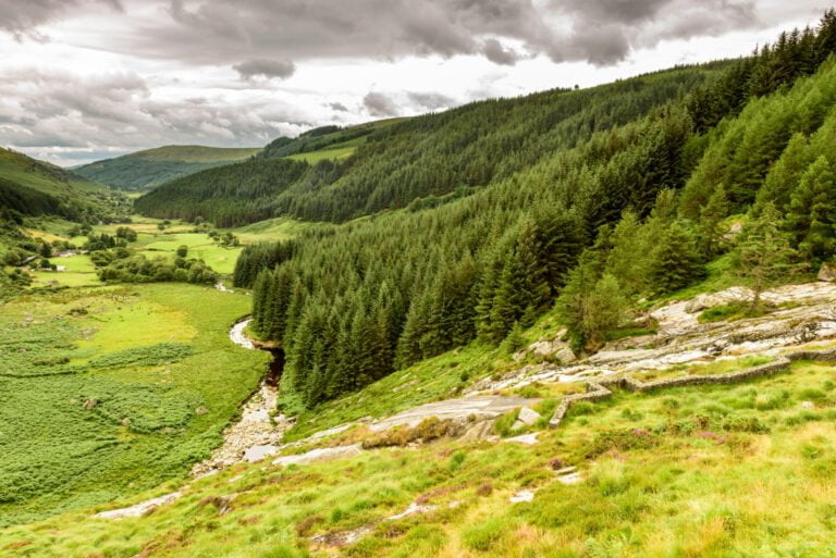 Wicklow mountains valley with forest in one side and field in the other side of the stream. County Wicklow, Republic of Ireland
