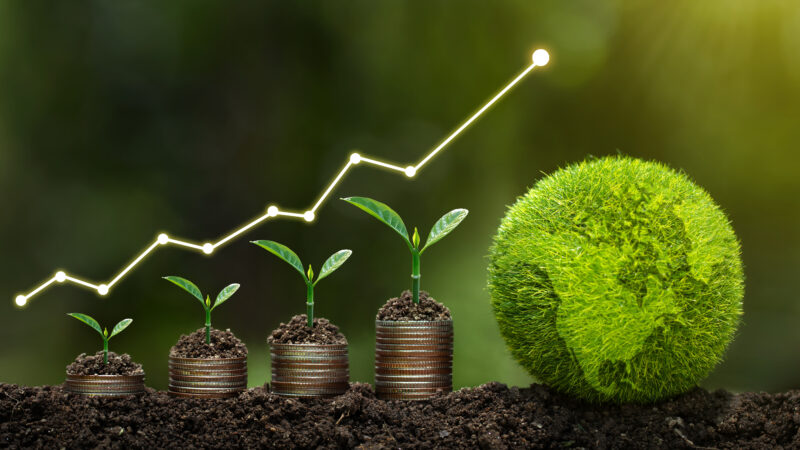 Will Sustainable Investing Affect my Returns & Increase my Costs?